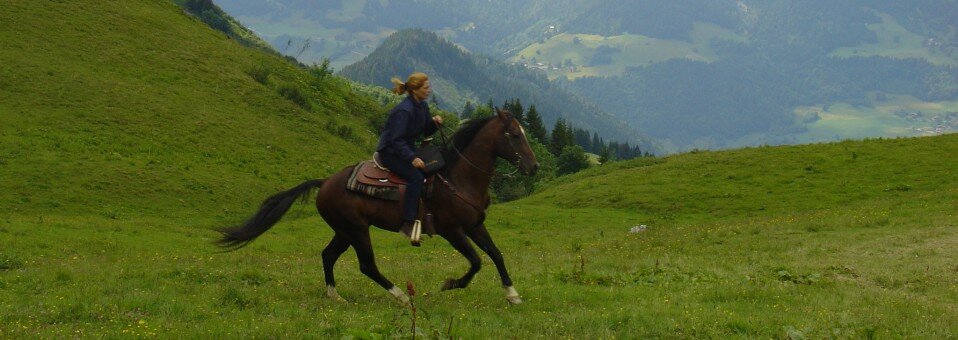 Chevaux