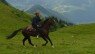 Chevaux