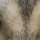 Les Loups